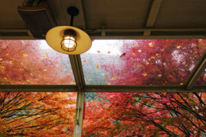 Improve Your IAQ This Fall